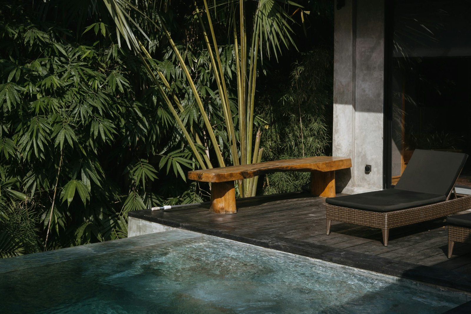 A poolside deck and bench against dense bamboo planting